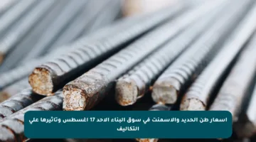 أسعار طن الحديد والأسمنت في سوق البناء الأحد 17 أغسطس وتأثيرها على التكاليف